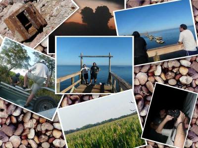 vacas por santa fe!!!